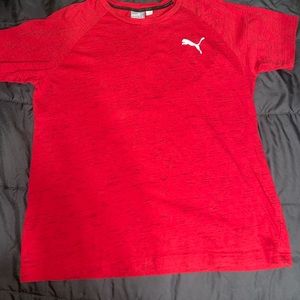 Puma tee